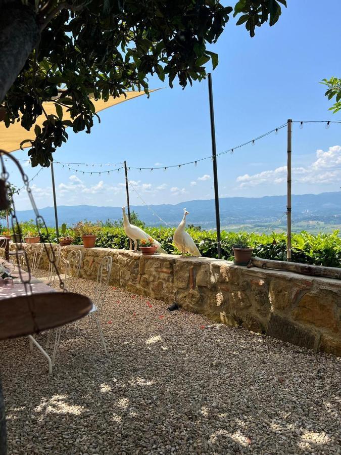 Agriturismo I Millepini Case Malva Екстериор снимка