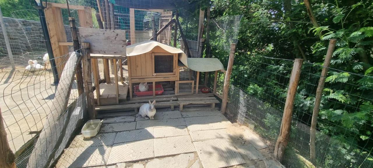 Agriturismo I Millepini Case Malva Екстериор снимка